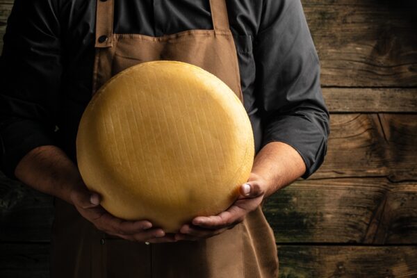 Strong Mesophilic Cheese Culture