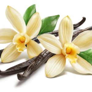 Very Vanilla Fragrant Oil 20 ml
