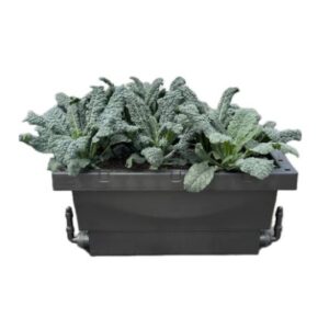 Biofilta Food Cube Slim