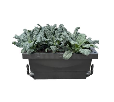 Biofilta Food Cube Slim