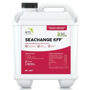 Seachange KFF